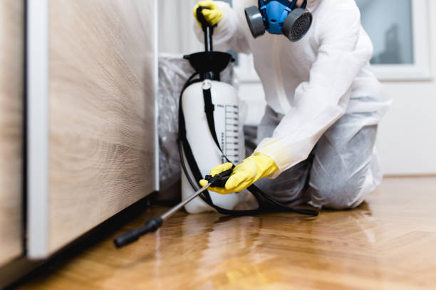 Best Wasp Removal Services  in Huber Ridge, OH