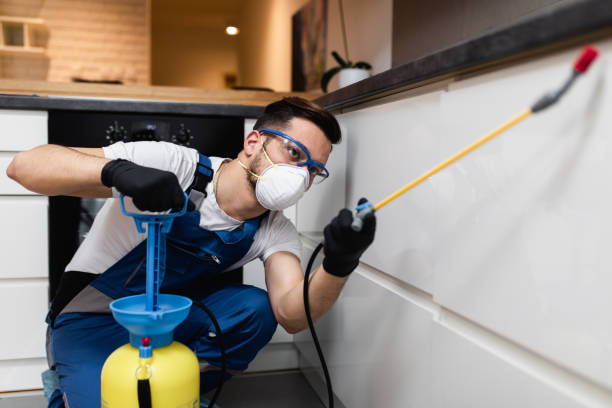 Best Ant Control Services  in Huber Ridge, OH