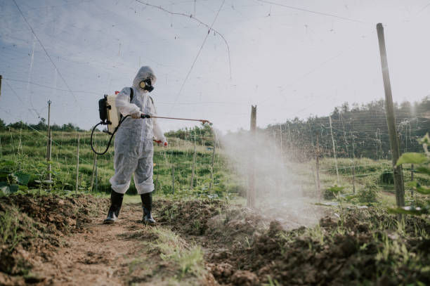 Best Mosquito Control Services  in Huber Ridge, OH