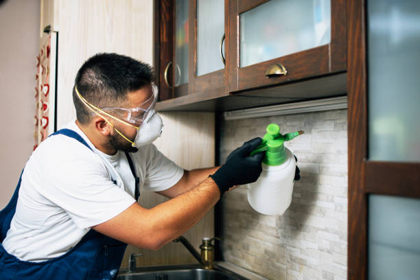 Trusted Huber Ridge, OH Pest Control Experts