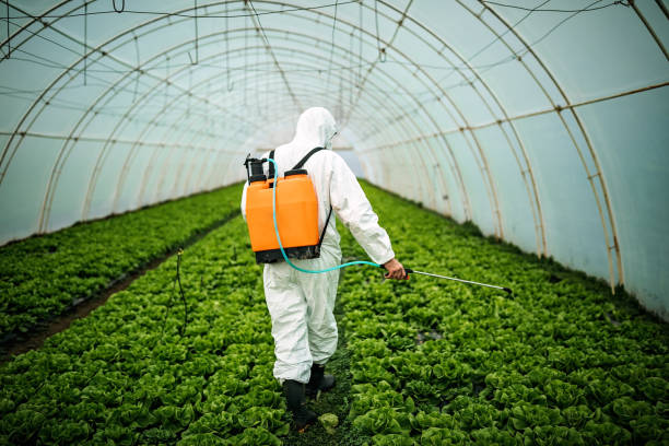 Best Pest Removal Services  in Huber Ridge, OH