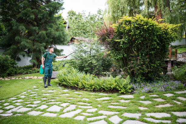 Best Best Pest Control Near Me  in Huber Ridge, OH