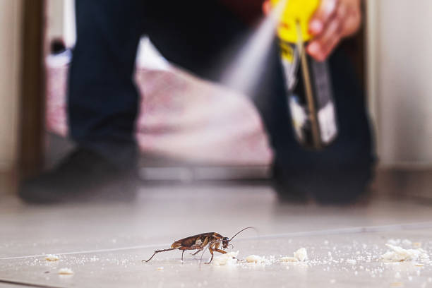 Best Residential Pest Control  in Huber Ridge, OH